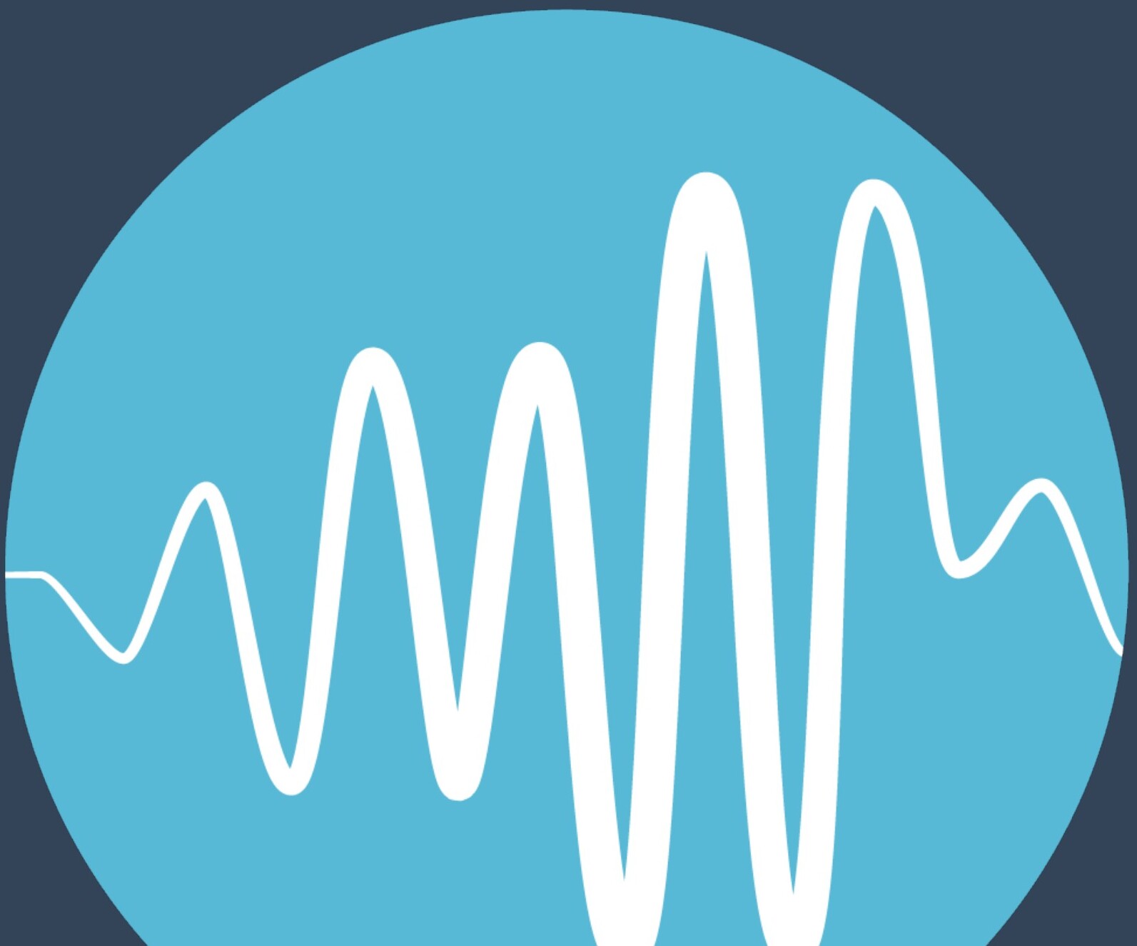 Synote waveform mark